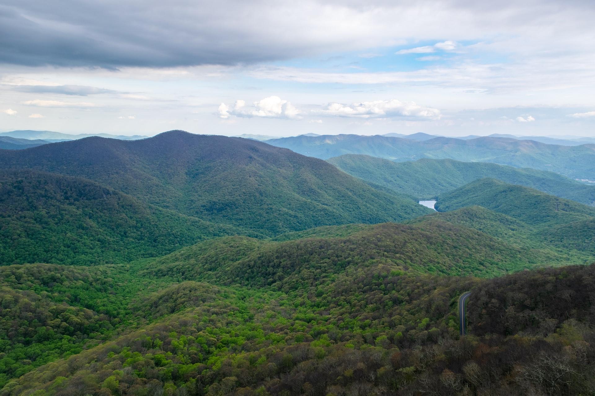 Best Wine Market In Asheville, NC