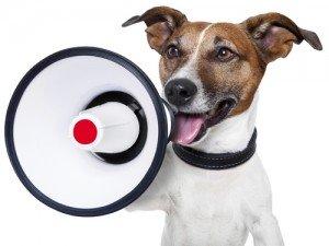 Dog with megaphone e1426543715309 300x225