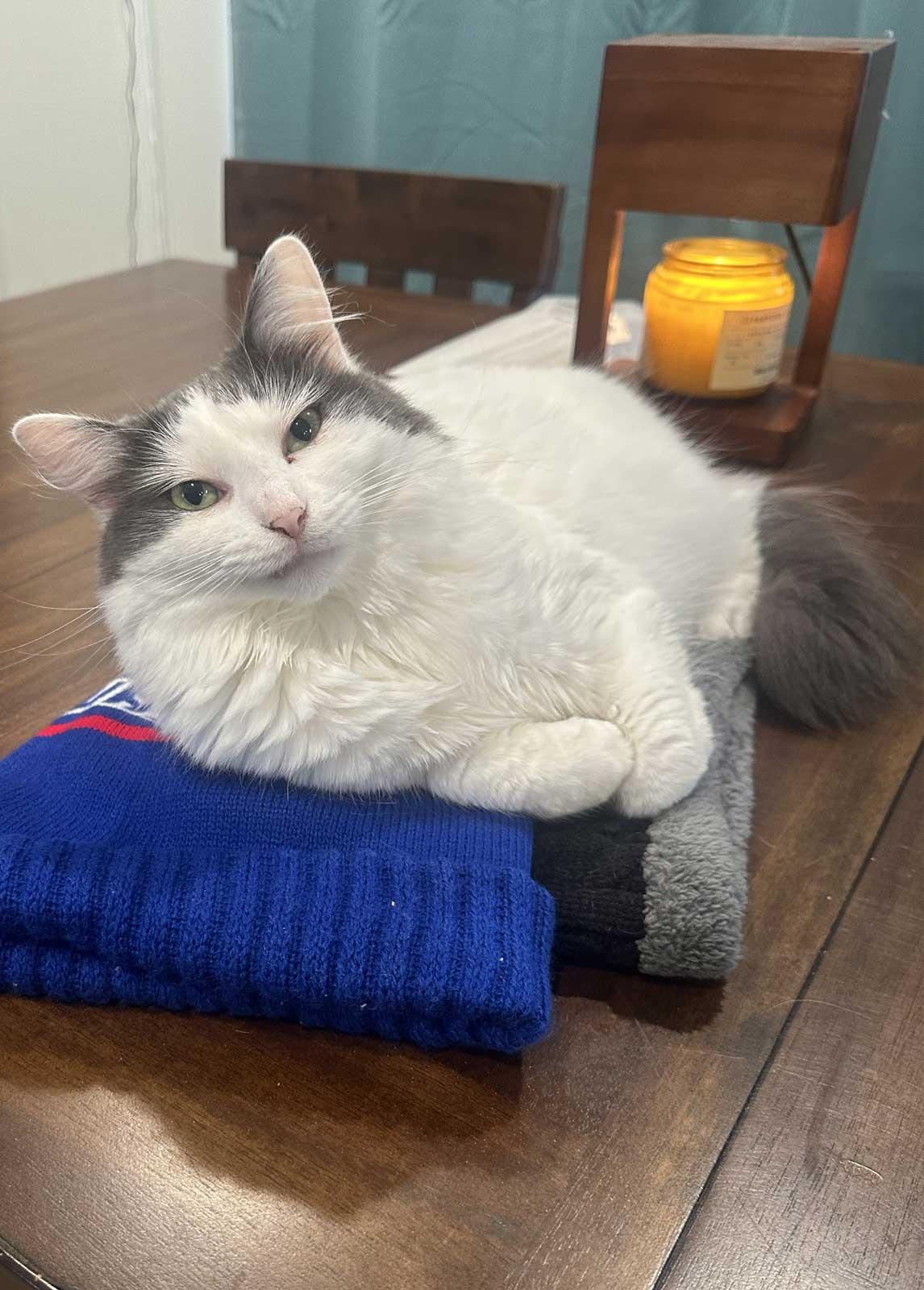 Miss Mochi May