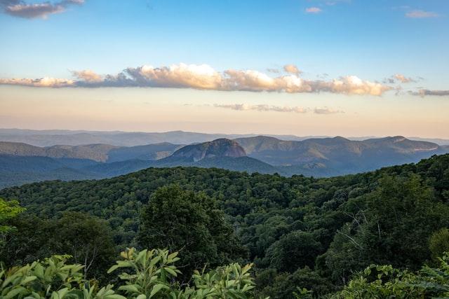 asheville area