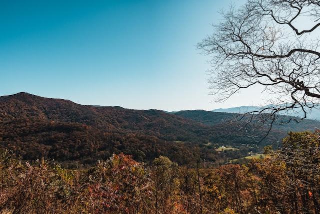 Where to Find Littorai Pinot Noir Near Carolina B&amp;B