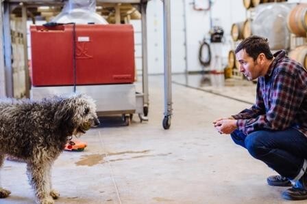b2ap3_thumbnail_grochau-dog.jpg