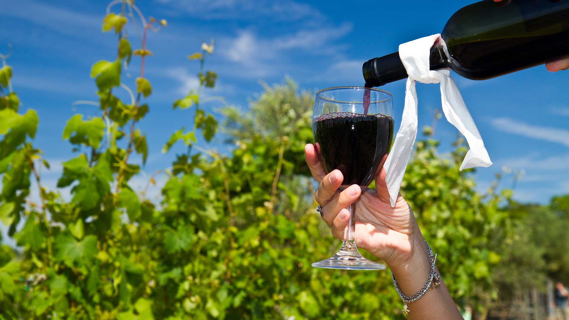 Where To Find Fine Wine Near Blazing Lotus Healing House