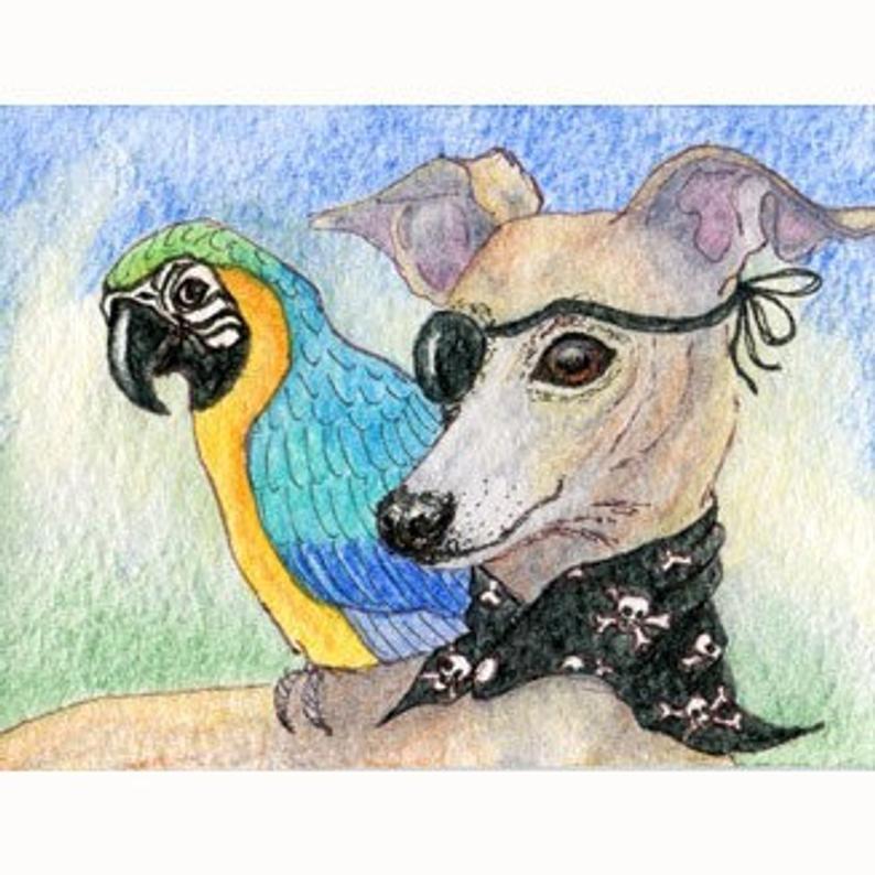 greyhound pirate