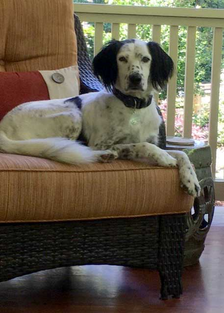 Baxter