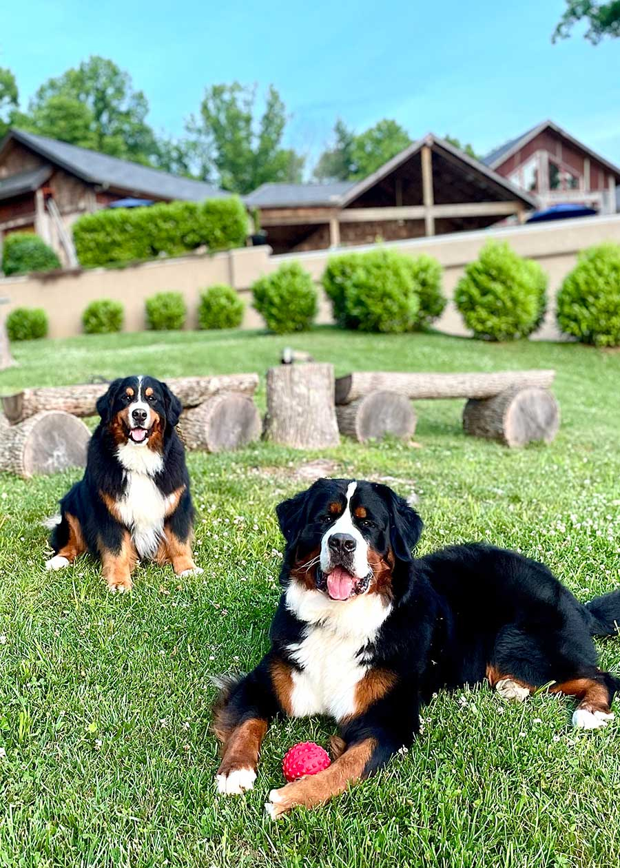 Nellie and Papp