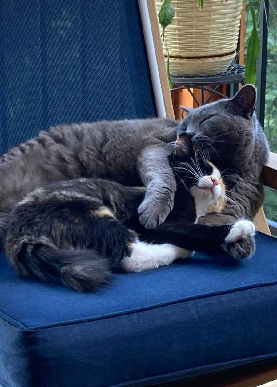 Ashe and Lexi