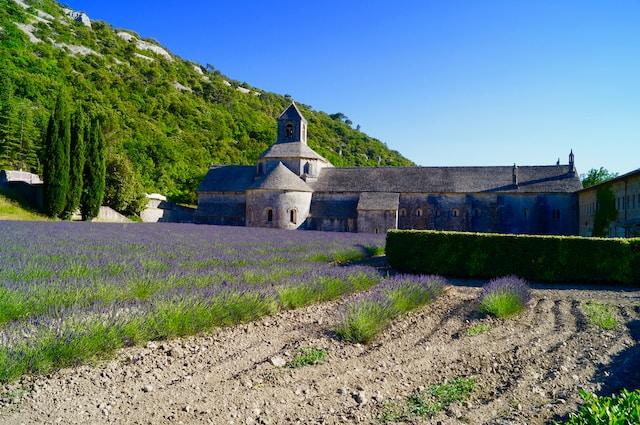 a brief history of french wine