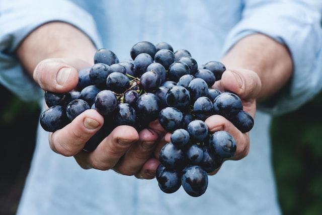 understanding wine body