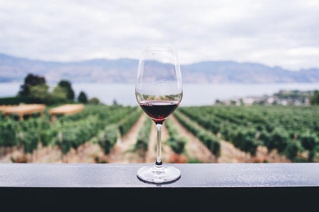 wine tasting spot