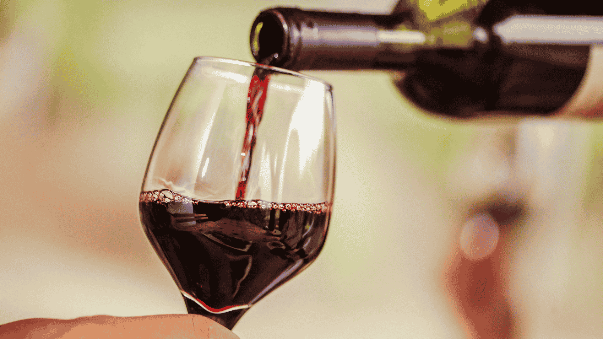 Where to Buy Wine Near Merrimon Avenue
